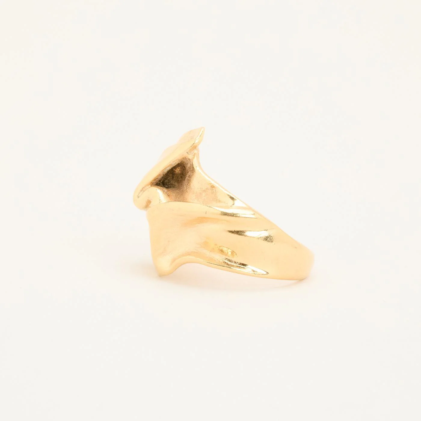 Miniatyrbild 5